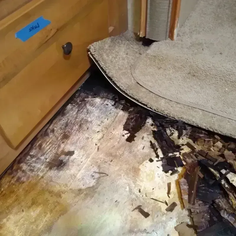 Wood Floor Water Damage in Plainview, TX